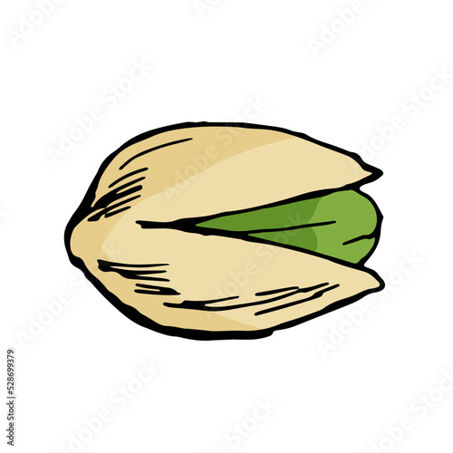 ピスタチオ単数＿シンプル線画カラーイラスト