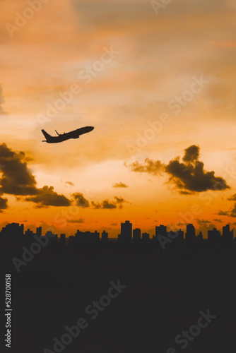 Silhueta de avião decolando © Wellison Braga