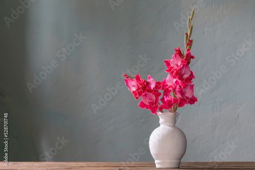 pink gladiolus in white vase on background blue wall