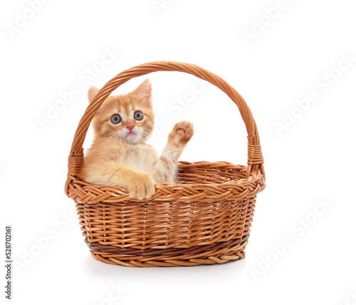 Little red kitten in the basket. © ANASTASIIA