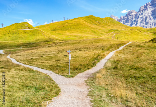 View on a mountain path that splits in two
