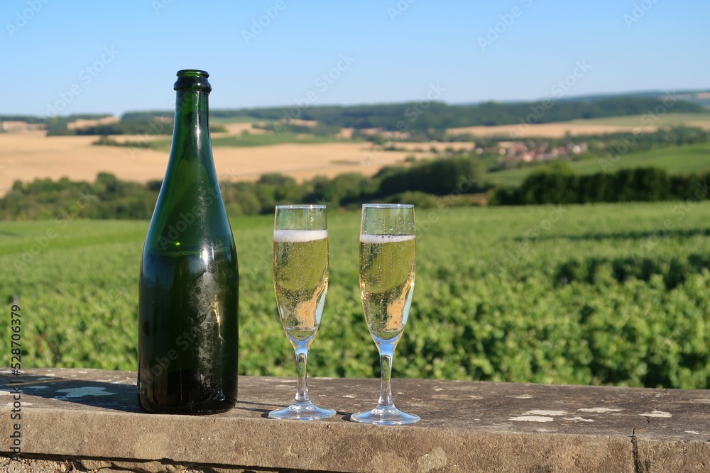Bouteille de champagne et deux verres (flûtes / coupes) remplis de vin, devant un paysage de vigne en été dans la Marne, en Champagne-Ardenne, région Grand-Est (France)