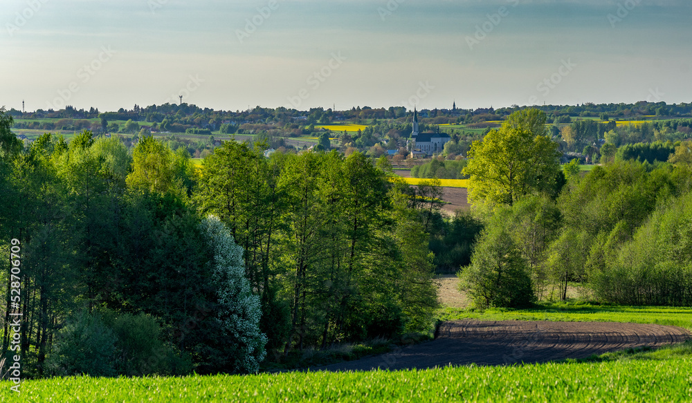 Naklejka premium Landscape in the spring