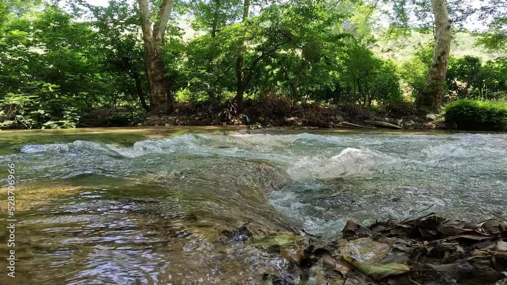 River Flowing Through Green Trees 4K River Flowing Through Green Trees 4K