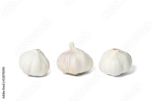 Garlic Isolated on white background