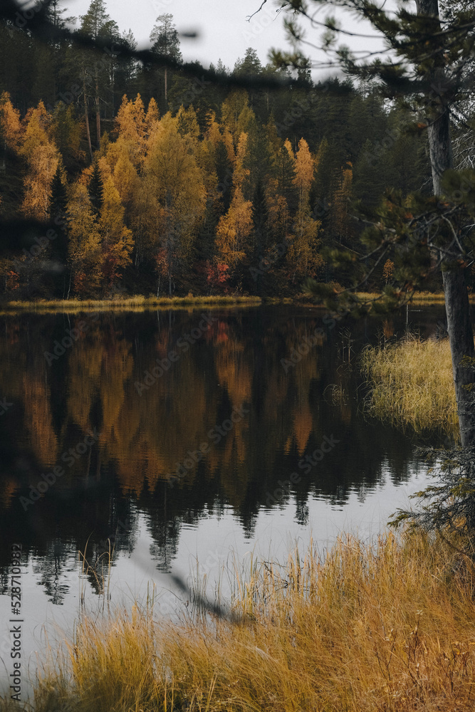 Fototapeta premium Reflection of an autumnal forest on a lake