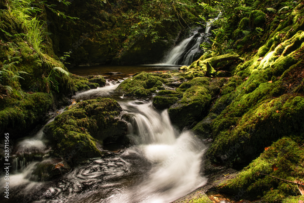 Fototapeta premium waterfall in the forest