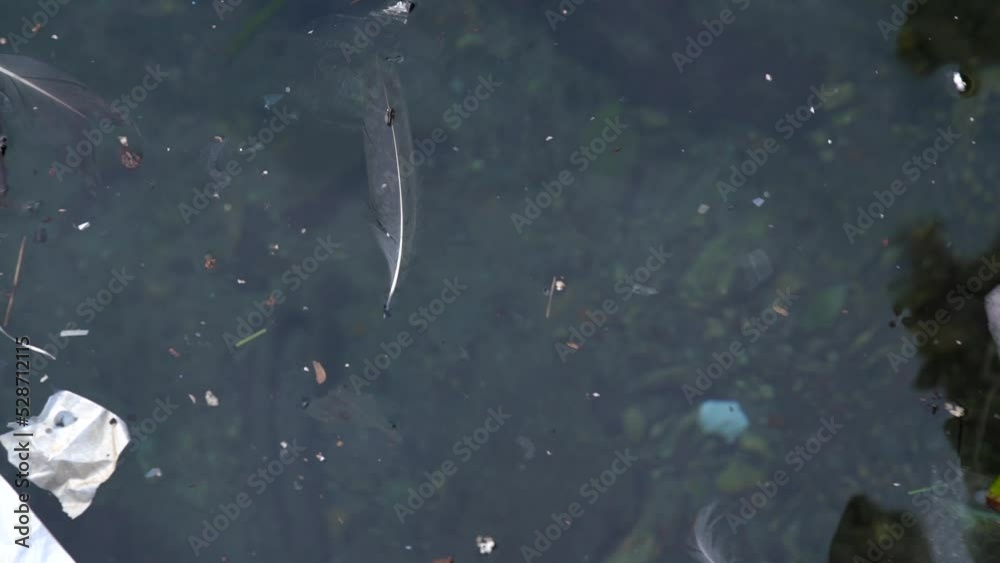 Water pollution with plastic bag and floating trash Water pollution with plastic bag and floating trash