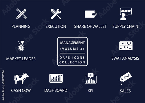 Management vector icon set in flat design and dark mode