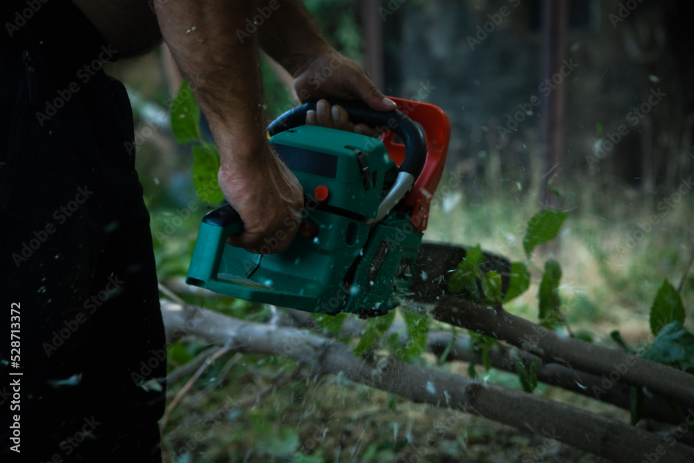 Chainsaw. Woodcutter saws tree with a chainsaw on sawmill Chainsaw. Woodcutter saws tree with a chainsaw on sawmill