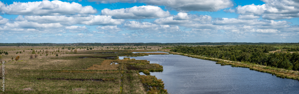Tower view over the pond and swamp of the fen national park, Fochteloo