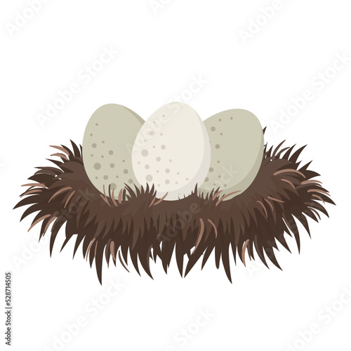 eggs in nest flat vector illustration clipart isolated on white background