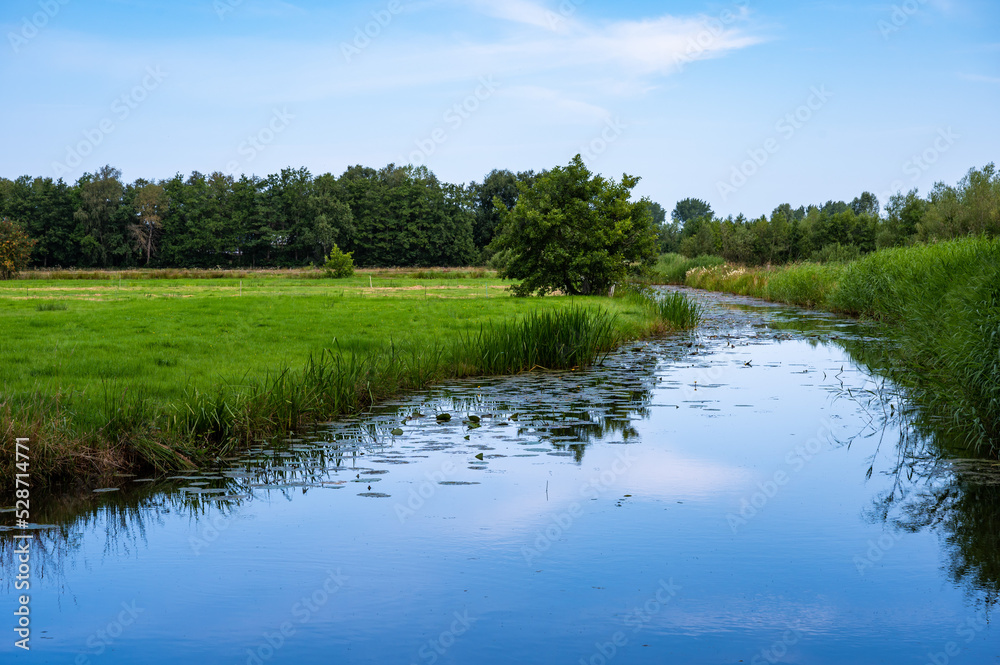 Wetland nature reserve with blue water of the lake, green grass over blue sky around Onlanden