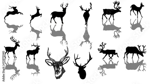 Silhouette images of reindeer with shadow effects