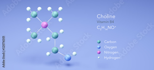 choline, vitamin b4, molecular structures, 3d model, Structural Chemical Formula and Atoms with Color Coding