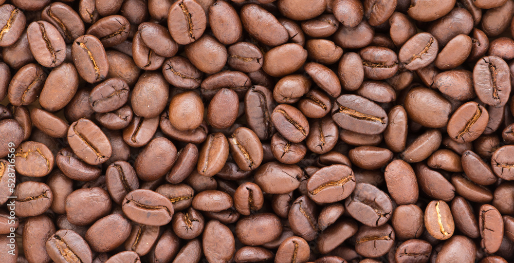 coffee bean background made to use as a background