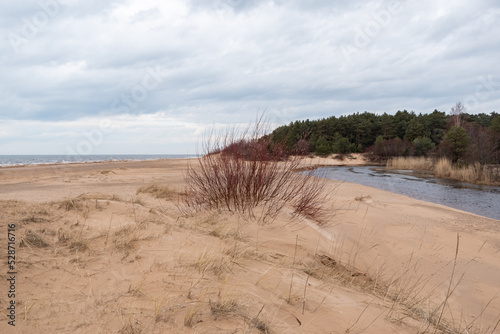 Vitrupe river delta among sandy dunes by Baltic sea on early spring