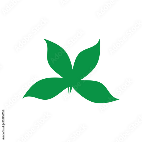 Leaf leaves logo green vector image