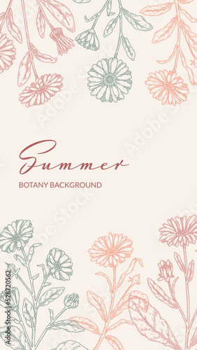 Summer flowers vertical packaging design with hand drawn elements. Vector illustration in sketch style