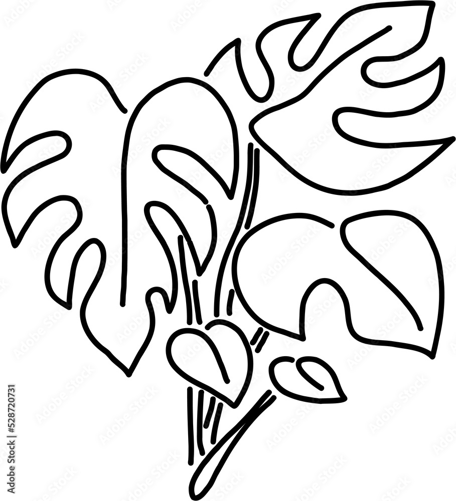 Simplicity monstera plant freehand drawing flat design. Simplicity monstera plant freehand drawing flat design.