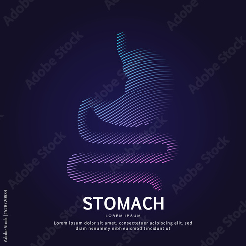 Human stomach medical structure. Creative simple line art Vector logo stomach silhouette on a dark background. stomach care logo vector template suitable for organization, company or community. EPS 10