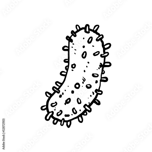 virus line art hand drawn illustration design