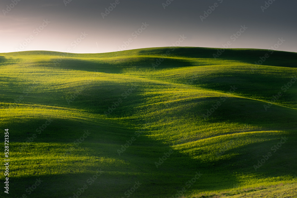 Fototapeta premium Beautiful green hills in the countryside of Tuscany, Italy