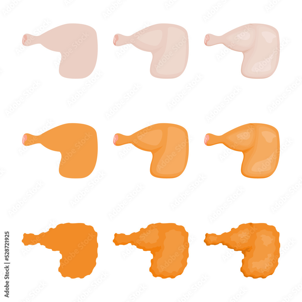 A vector drawn chicken thigh illustration with various colors, styles and amount of details A vector drawn chicken thigh illustration with various colors, styles and amount of details