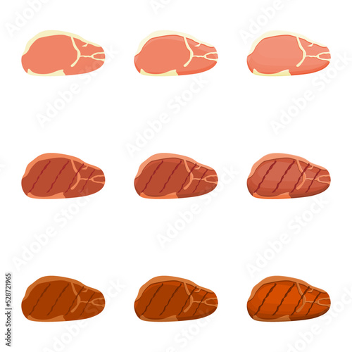 A vector drawn pork loin illustration with various colors, styles and amount of details