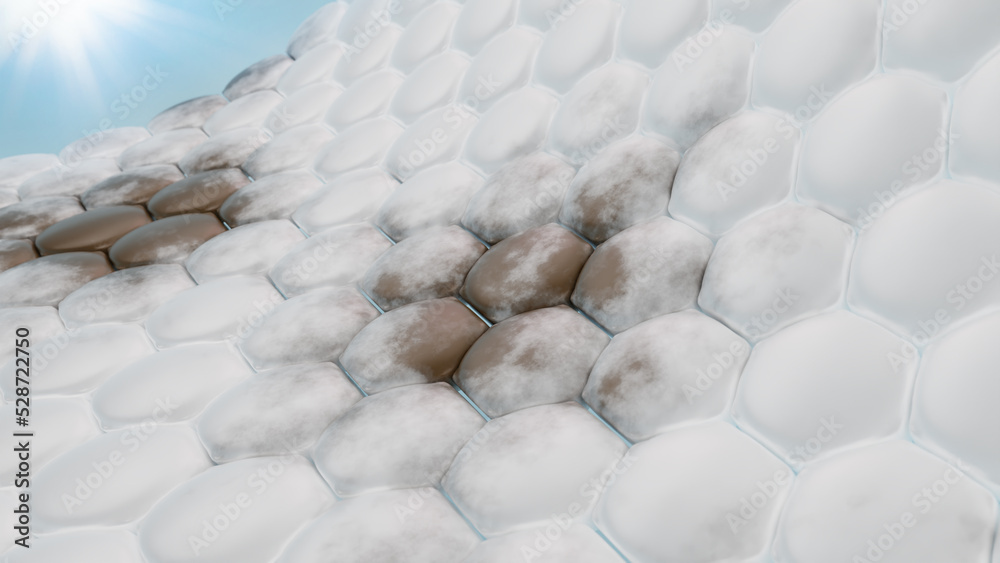 Fototapeta premium Dark spot of melasma on skin cell with sunlight. Skin problem and treatment concept. 3D rendering.