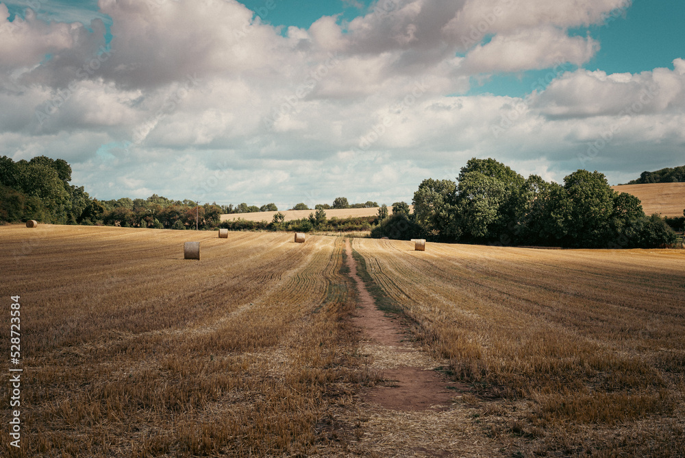 Old path through the farmer's field