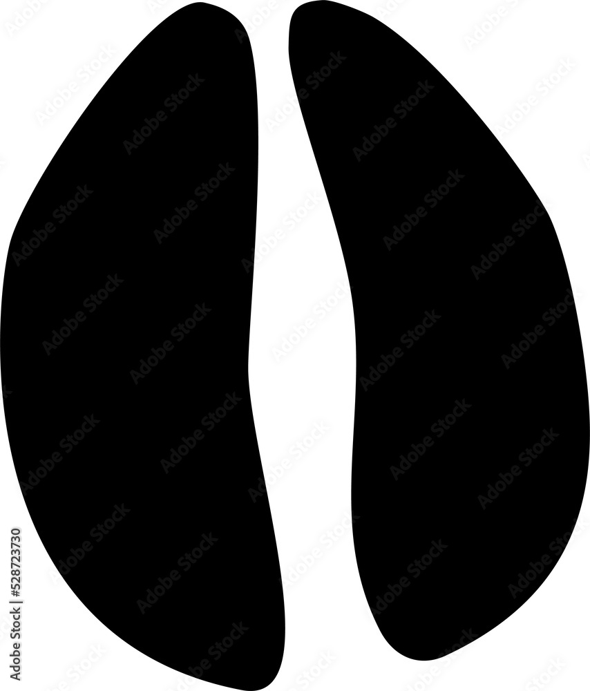 Deer moose elk animal footprints isolated traces Deer moose elk animal footprints isolated traces