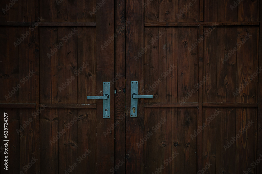 old wooden door with two handles