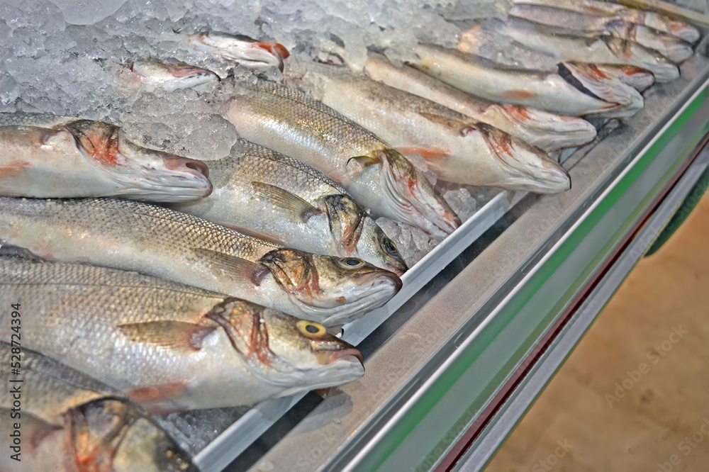 Obraz premium fresh fish closeup with silver scales and flippers under cold ice on glass shopwindow aka showcase in mall window, modern shopping refrigerator aka cold storage, food refrigerating diversity