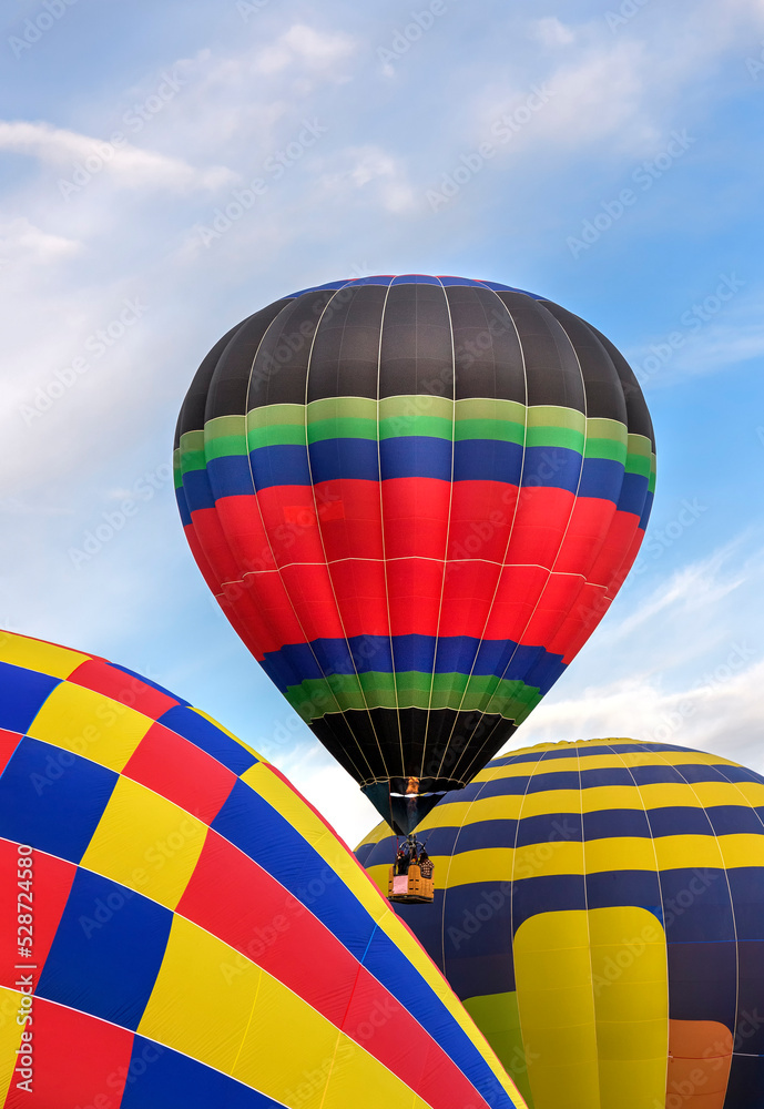 Fototapeta premium hot air balloon in the sky