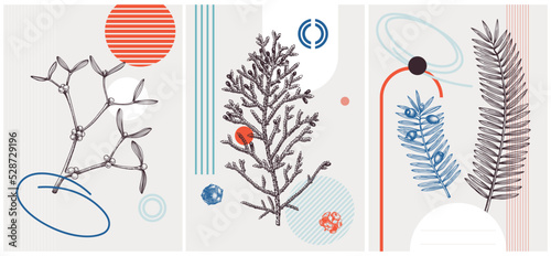 Collage style winter vector illustration. Mistletoe, cypress, yew plant sketches. Trendy Christmas design with botanical drawings and geometric shapes. Christmas card, invitation, poster, print,