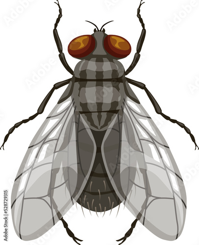 Photos Fly icon, pest control and insect parasite blowfly