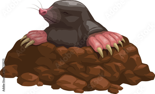 Mole icon rodent animal pest control extermination photo