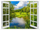 views of the pond