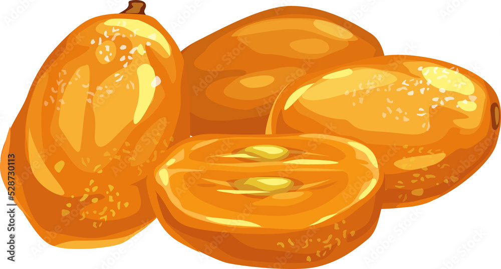 Dried kumquat vector icon, sugared citrus fruits