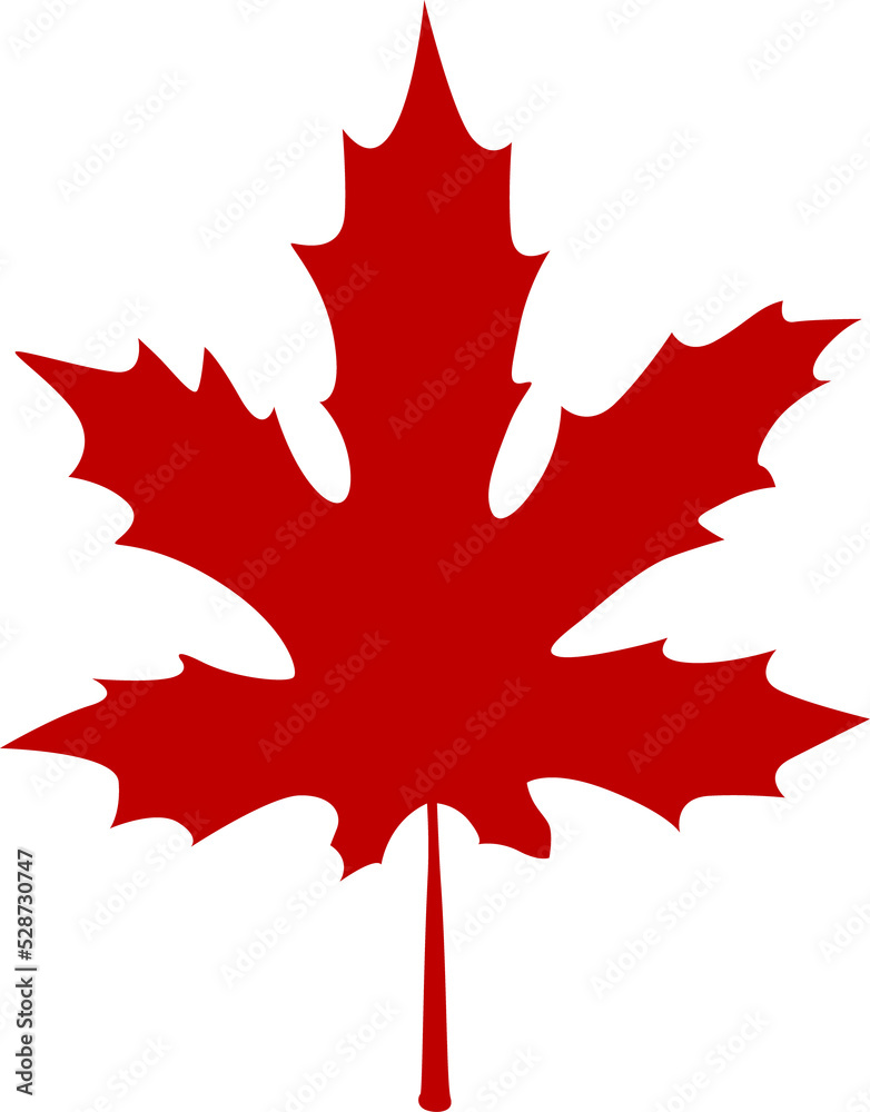 Leaf isolated maple acer tree organic element icon