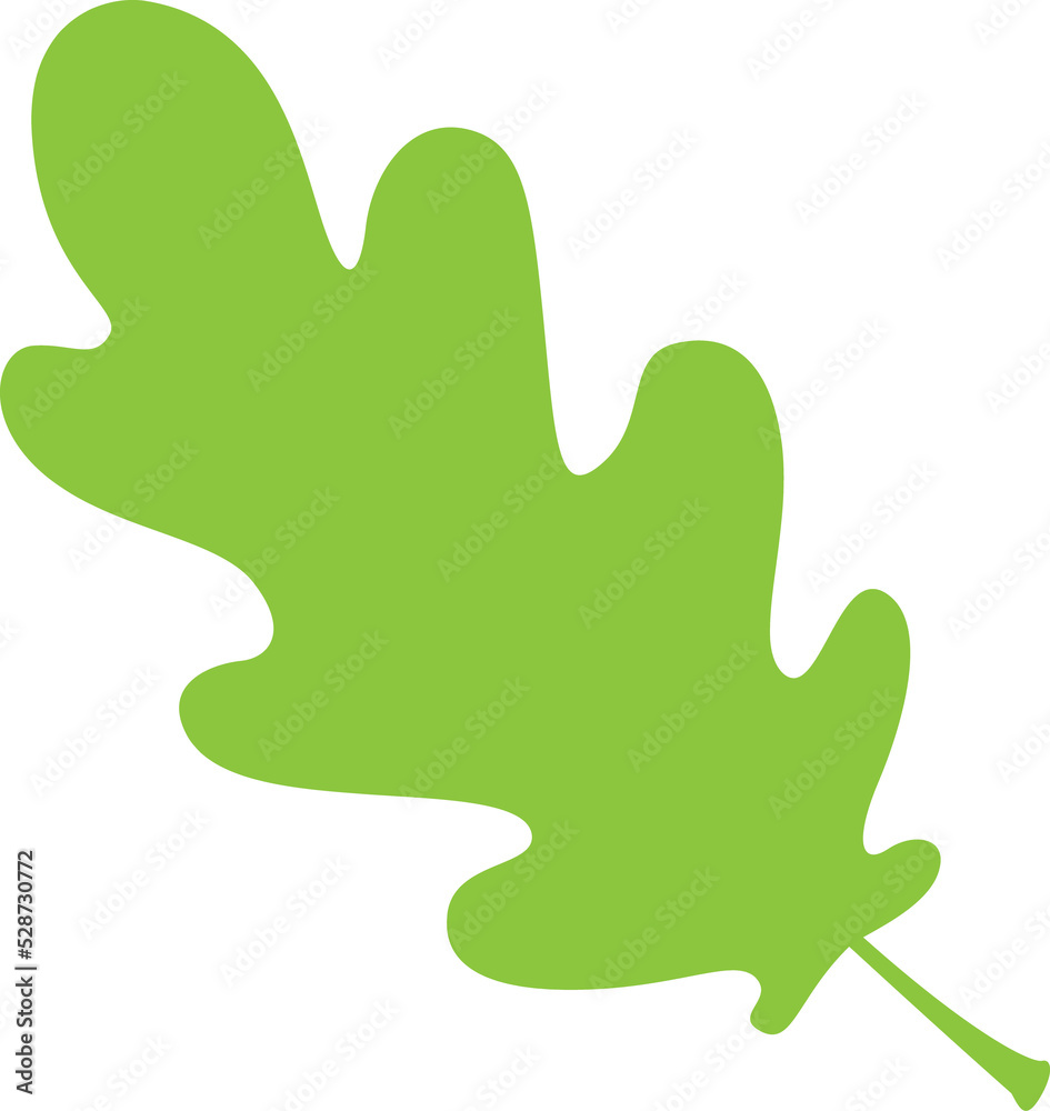 Oak or acorn tree leaf isolated green silhouette Oak or acorn tree leaf isolated green silhouette