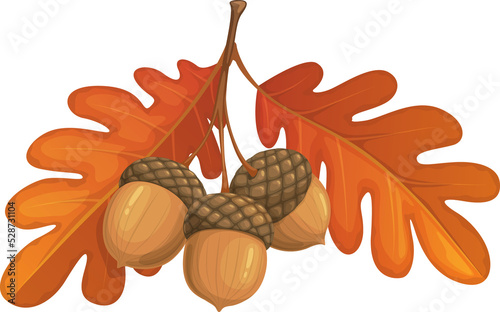 Autumn oak leaves and acorn cartoon vector icon