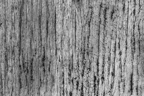 Old gray wooden surface  detailed background texture