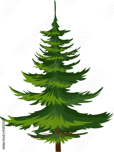 Green spruce, pine fir tree, Christmas symbol icon © Vector Tradition