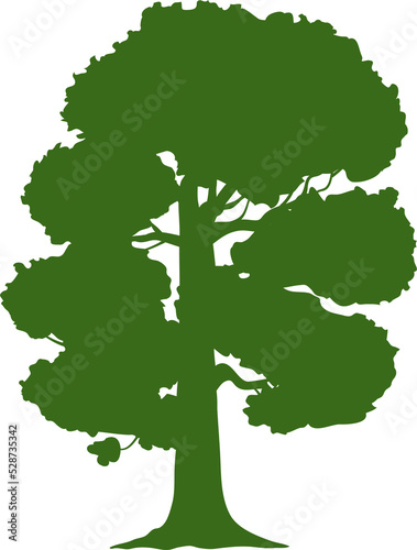 Ash tree green elm isolated silhouette forest icon