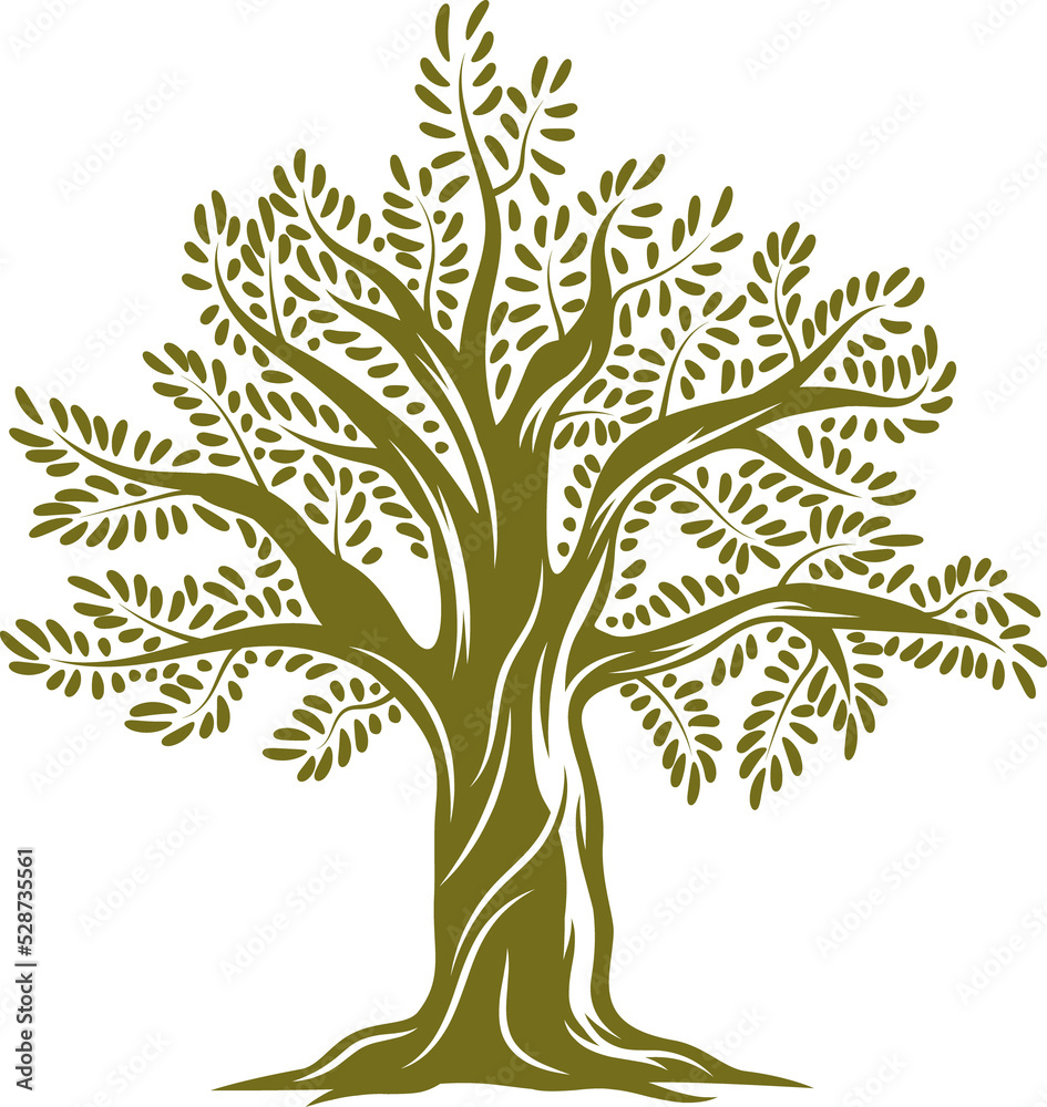 Green tree extra virgin olive oil symbol isolated Stock Illustration ...