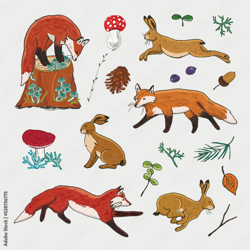 Obraz premium Forest animals: hare and fox vector illustrations set.