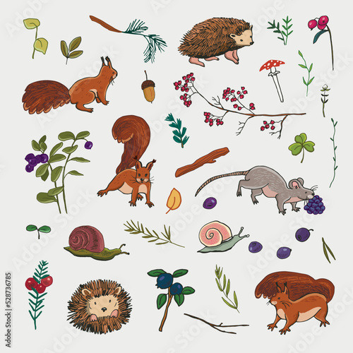 Forest little animals: hedgehog, squirrel, mouse, snail vector illustrations set.