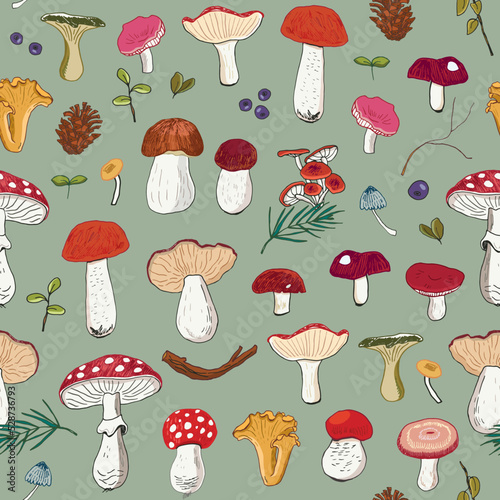 Forest autumn mushrooms vector seamless pattern.